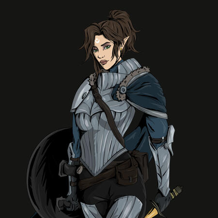 DND Paladin commission